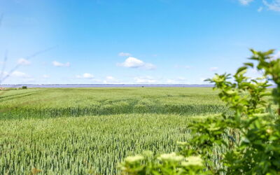 Freja - 12Km from the Sea