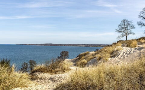 Terttu - 250M from the Sea: Holz, Zuhause, Veranda, Deck, Hartholz, Dach, Holzbeize, Holzboden, Eco Hotel