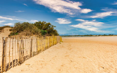 La Dune: Himmel, Blau, Daytime, Natürlichen Umgebung, Horizont, Strand, Wolke, Sand, Ökoregion, Sommer