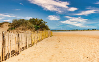 La Dune