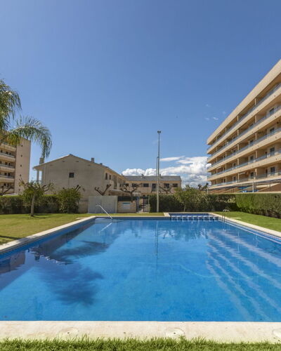 Torrenova Iv