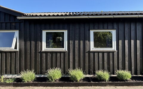 Hælf - 600M from the Sea: Holz, Verbundwerkstoff, Abstellgleis, Hartholz, Planke, Daylighting