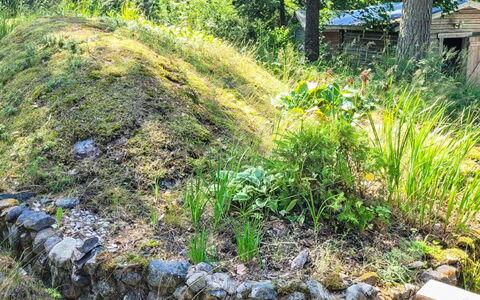 Kelokki: Vegetation, Strauch, Pflanzengemeinschaft, Ground, Garten, Boden, Krautige Pflanze, Landscaping, Hinterhof