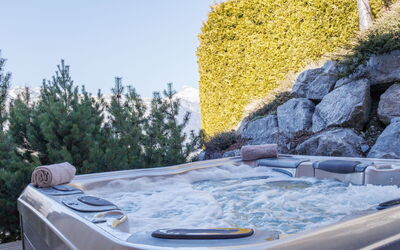 Chalet Roose