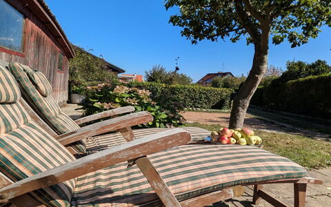 Taja - 170M from the Sea: Möbel, Gartenmöbel, Holz, Stuhl, Garten, Schatten, Tisch Im Freien, Ground, Sonnenliege, Hartholz