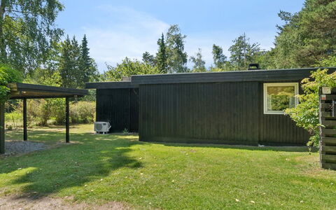 Tatyana - 1.6Km from the Sea: Estate, Schatten, Auffahrt, Bauernhaus