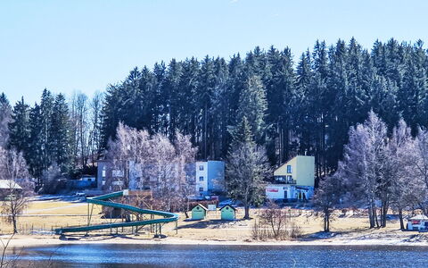 Lakeview Luxury Lodge & Garden: Baum, Winter, Schnee, Einfrieren, Lärche, Immergrün, Pine Familie