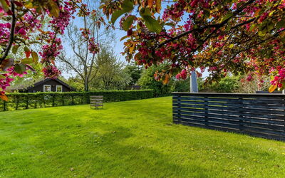 Prohor - 150M from the Sea