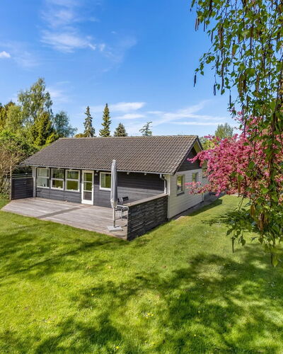 Prohor - 150M from the Sea