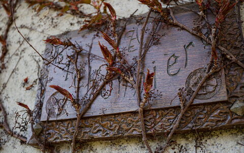 Les Jonquilles: Fassade, Tür, Zuhause, Dach, Verbundwerkstoff, Gartenmöbel, Schatten, Estate, Veranda, Stuhl