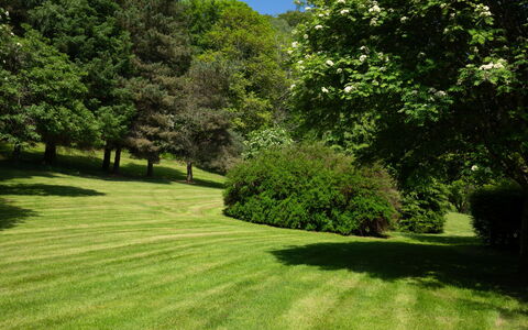 Farmburn Bothy: Grün, Gras, Baum, Natürlichen Umgebung, Blatt, Natur, Strauch, Natürliche Landschaft, Wiese, Garten