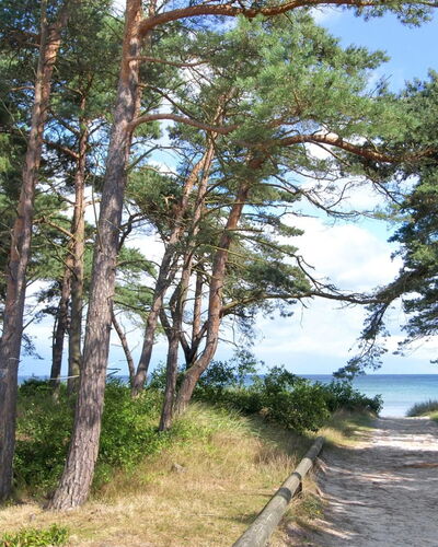 Felicia - 200M from the Sea