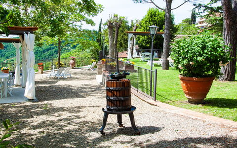 Agriturismo Casa Da Pietro: Möbel, Garten, Gartenmöbel, Frühling, Blumentopf, Schatten, Hinterhof, Garten, Landscaping