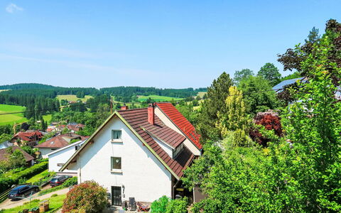 Blackforest Birdnest: Grün, Haus, Strauch, Hütte, Dach, Zuhause, Ländliches Gebiet, Dorf, Bauernhaus, Garten