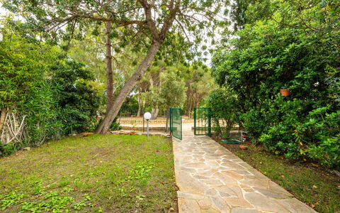 Casa ai Mandorli: Blatt, Vegetation, Strauch, Garten, Weg, Schatten, Frühling, Walkway, Gehölz, Sonnenlicht