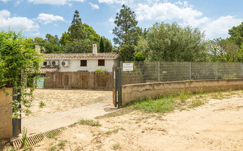 Casa ai Mandorli: Baum, Ländliches Gebiet, Grundstueck, Zaun, Dorf, Estate, Boden, Home Fechten, Hinterhof, Bauernhaus