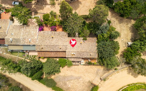 Casa ai Mandorli: Baum, Landschaft, Wohngebiet, Vogelperspektive, Garten, Landscaping, Luftaufnahmen, Estate, Vorort, Dorf