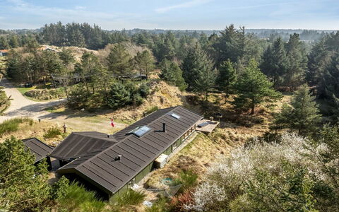 Nimrod - 800M from the Sea: Dach, Zuhause, Hütte, Ländliches Gebiet, Steigung, Landscaping, Lärche, Immergrün, Pine Familie