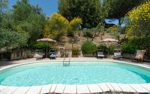 Casa Livia: Schwimmbad, Möbel, Gartenmöbel, Stuhl, Resort, Regenschirm, Schatten, Tisch Im Freien, Garten, Hinterhof