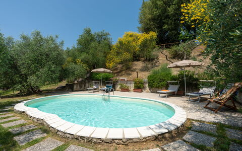 Casa Livia: Schwimmbad, Gartenmöbel, Möbel, Stuhl, Resort, Hinterhof, Schatten, Garten, Eco Hotel, Landscaping