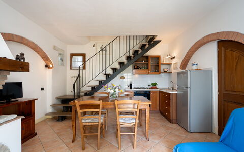 Casa Livia: Möbel, Interior Design, Küche, Stuhl, Wohnung, Zimmerpflanze, Countertop, Küche & Esszimmer Tisch, Holzbeize, Cabinetry