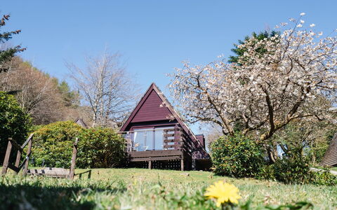 Sandpiper Lodge: Hütte, Frühling, Garten, Freizeit, Bauernhaus, Garten, Landscaping, Blühen, Veranda, Gartenbauten