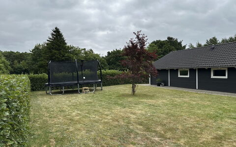 Truels - 30Km from the Sea: Gras, Rasen, Garten, Schatten, Hinterhof, Garten, Landscaping, Gartenbauten, Park, Schuppen