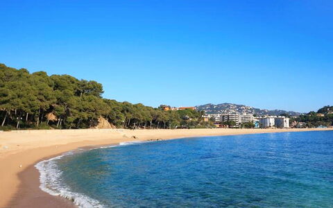 Tramuntana: Gewässer, Strand, Meer, Küste, Himmel, Ufer, Ozean, Wasser, Küsten Und Ozeanische Forms, Bucht