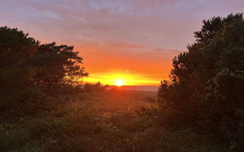 Kaj - 75M from the Sea: Himmel, Sonne, Afterglow, Sonnenuntergang, Natur, Horizont, Orange, Blatt, Ast, Dämmerung