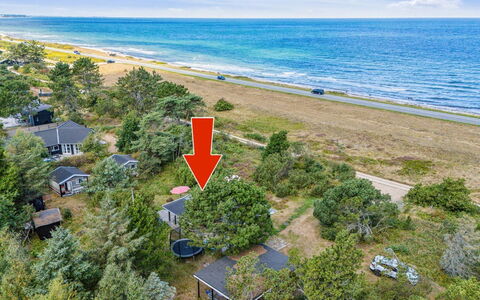 Kaj - 75M from the Sea: Vegetation, Strauch, Frühling, Hütte, Garten, Schatten, Hinterhof, Garten, Stuhl