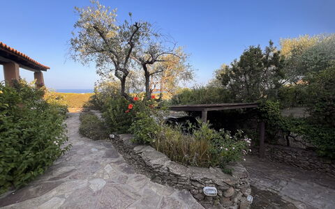 Villetta Oasi Belvedere, Budoni, Wifi, Ac: Strauch, Garten, Landscaping, Hinterhof, Flagstone, Blumentopf
