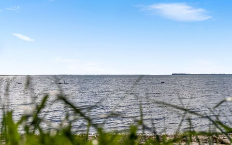 Ørn - 5M from the Sea: Estate, Schatten, Auffahrt, Bauernhaus