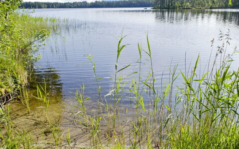 Blue Lake Villa: Bett, Möbel, Schlafzimmer, Interior Design, Bedding, Bettdecke, Flooring, Holz, Fussboden, Zimmer