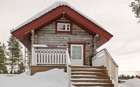 Aurora: Holz, Hütte, Blockhaus, Wald, Schuppen, Gartenbauten, Lärche, Wald, Holzbeize