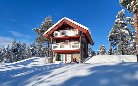 Aurora: Holz, Hütte, Blockhaus, Wald, Schuppen, Gartenbauten, Lärche, Wald, Holzbeize