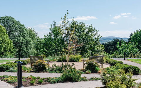 Great Glen View: Strauch, Garten, Landschaft, Ground, Frühling, Walkway, Landscaping, Botanischer Garten, Park, Plantage