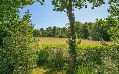 Steffenie - 250M from the Sea: Holz, Zuhause, Veranda, Deck, Hartholz, Dach, Holzbeize, Holzboden, Eco Hotel