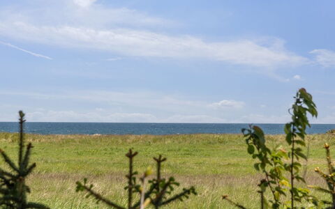 Naina - 200M from the Sea: Blau, Strauch, Hütte, Ground, Garten, Estate, Schatten, Landscaping, Bauernhaus, Eco Hotel