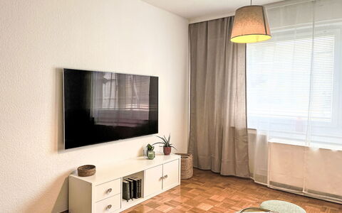 Apartment Magdalena: Möbel, Interior Design, Flooring, Wand, Fussboden, Holz, Zimmer, Wohnzimmer, Beleuchtung, Fernsehen