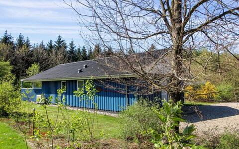 Alia - 30Km from the Sea: Estate, Schatten, Auffahrt, Bauernhaus