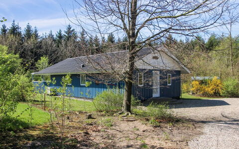 Alia - 30Km from the Sea: Estate, Schatten, Auffahrt, Bauernhaus
