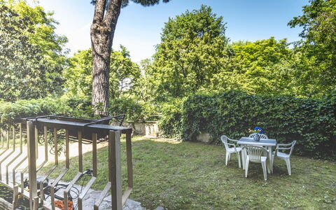Suite Vogel: Blatt, Strauch, Garten, Schatten, Frühling, Sonnenlicht, Hinterhof, Rasen, Landscaping, Garten