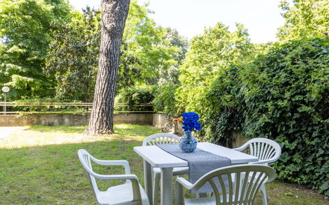 Suite Vogel: Möbel, Gartenmöbel, Stuhl, Schatten, Garten, Tisch Im Freien, Rasen, Hinterhof, Garten, Landscaping