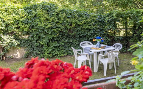 Suite Vogel: Blatt, Grün, Strauch, Garten, Ground, Frühling, Schatten, Hinterhof, Garten, Landscaping