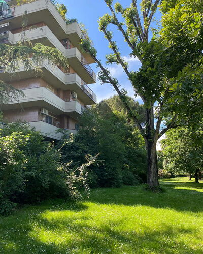 Suite Vogel