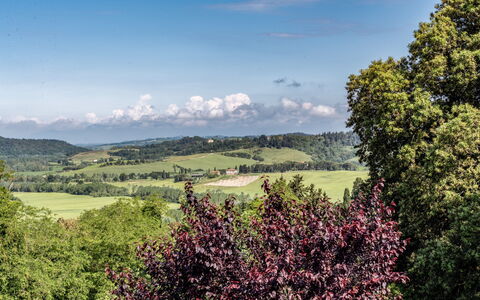 Tenuta i Mandorli, Pool, Wifi, Peccioli: Grün, Baum, Blatt, Natur, Natürlichen Umgebung, Bergforms, Natürliche Landschaft, Vegetation, Hügel, Wiese
