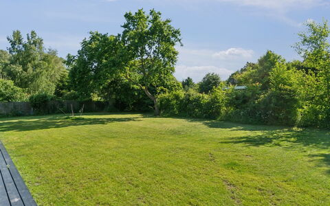 Thrym - 2.5Km from the Sea: Vegetation, Strauch, Frühling, Hütte, Garten, Schatten, Hinterhof, Garten, Stuhl
