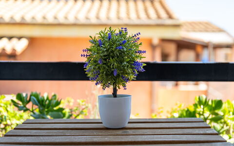 Appartamento Sala: Meer, Küste, Strand, Ozean, Schatten, Balkon, Planke, Gartenmöbel