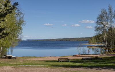 Torsmogården