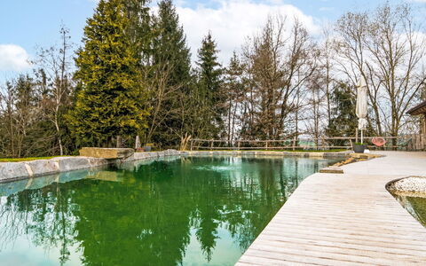 Oase im Grünen: Schwimmbad, Reflexion, Reservoir, Winter, Teich, Lärche, Water Feature, Resort